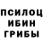 Псилоцибиновые грибы GOLDEN TEACHER REI Jones