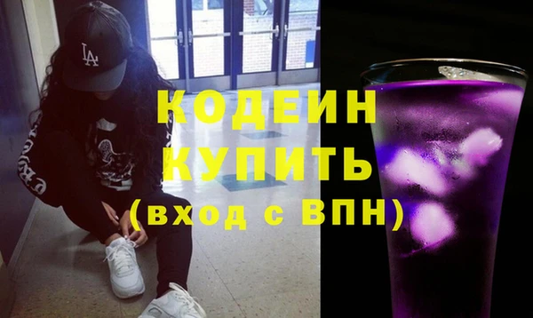 индика Баксан