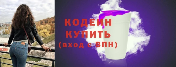 индика Баксан