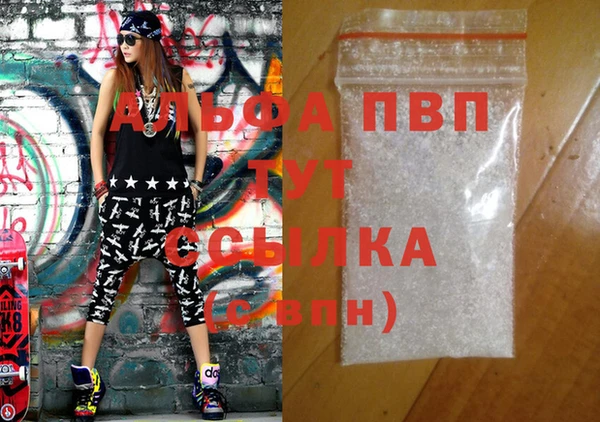 индика Баксан