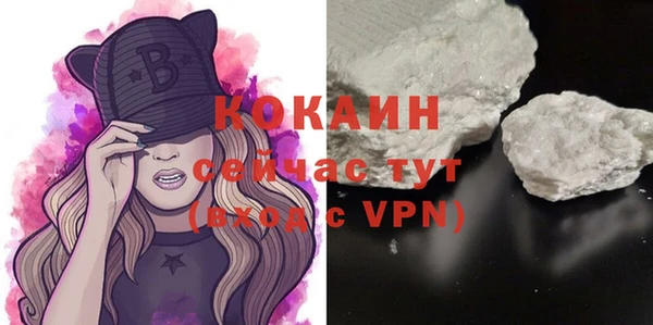 индика Баксан