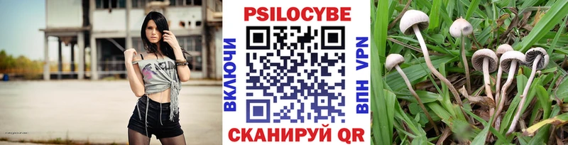 Псилоцибиновые грибы GOLDEN TEACHER  Лабытнанги 